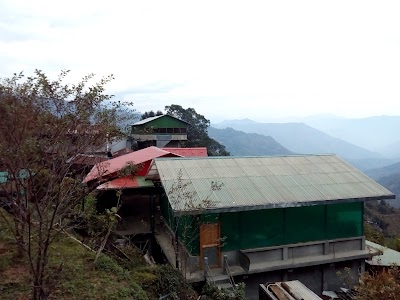 Chongtong Tea Garden