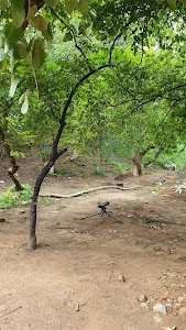 Bhuvaneshwari devi temple trek parking