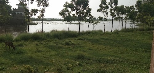Nengura Prathamik Bidyalaya