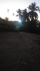 Rumelas