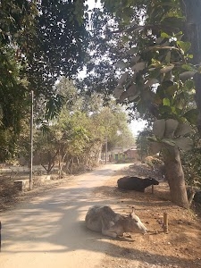 Poini