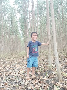 Munsad