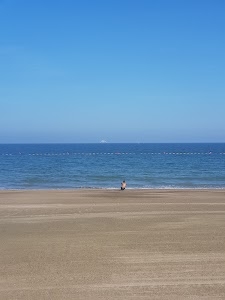 Fujairah Beach