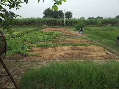 Sihol