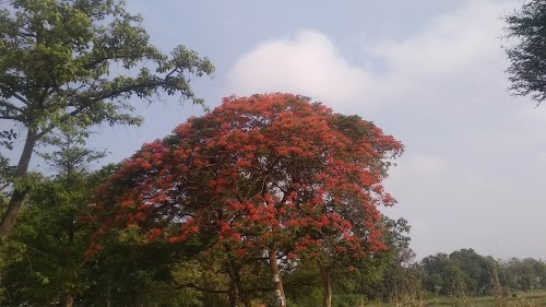 Ahamadpur