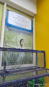 Nai sadak SK motors