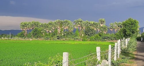 Mahasamudram