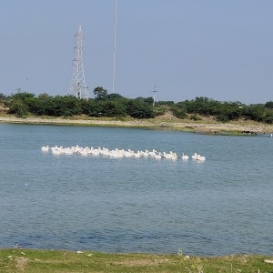 Vadtra