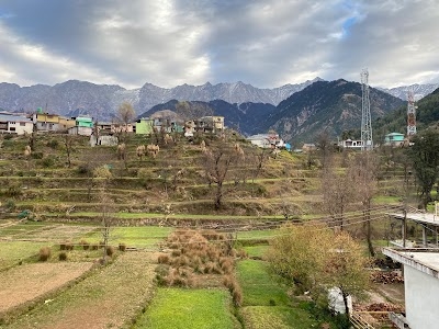 Mcleodganj Diaries