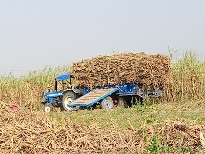 Dagar Farm