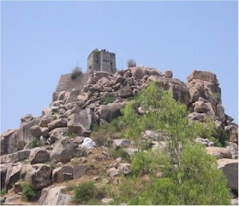 Raichur