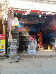 Bird Market Patna