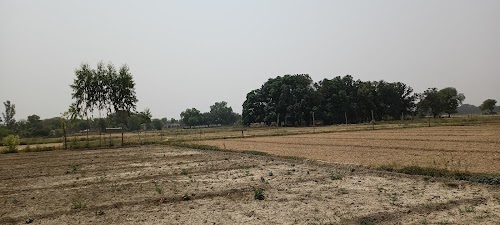 Udaipur
