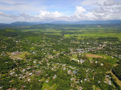 Jalukie