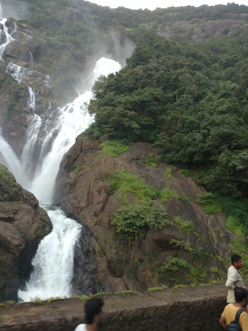 Dharbandora