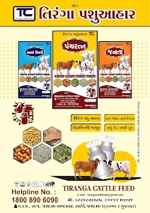 TIRANGA CATTLE FEED