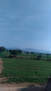 Untoli Village Bus Stop