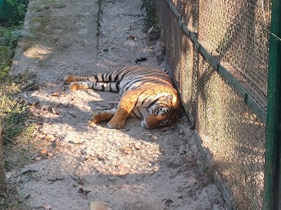 BENGAL SAFARI TOURISM