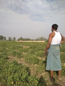 Kahara Salempur