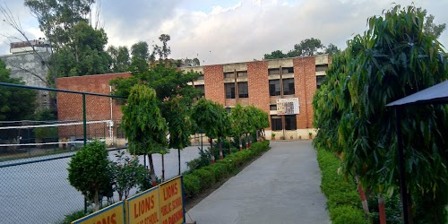 Lions Public School