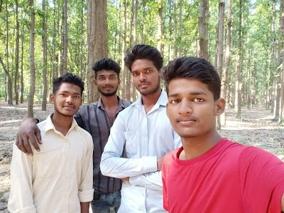 Campierganj Jungle