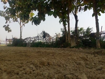 Pandey Baba