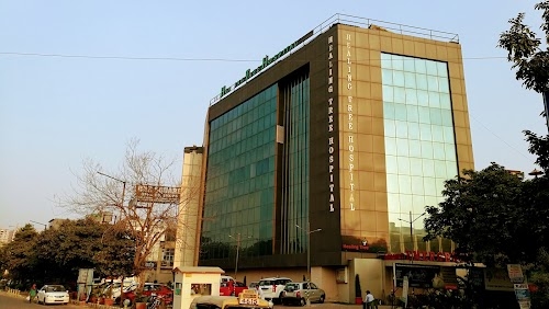 HEALING TREE HOSPITAL