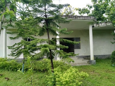 Amazon Forest Resort