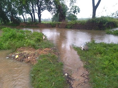 Taranari talab