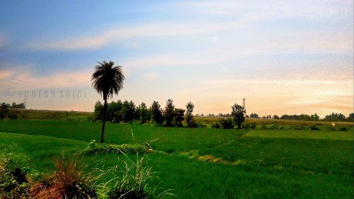 Parmanand