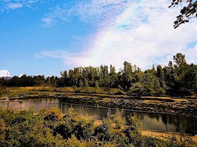 Panzat Wan Pora