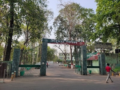 Forest Office