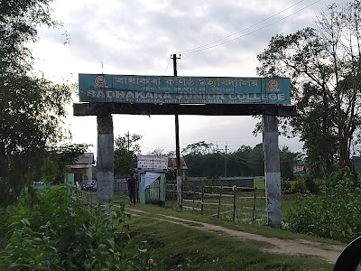 Badhakara Junior College