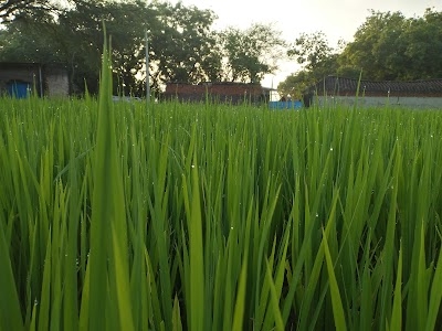 Chhatarpur