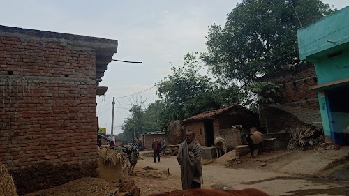 Sumera School