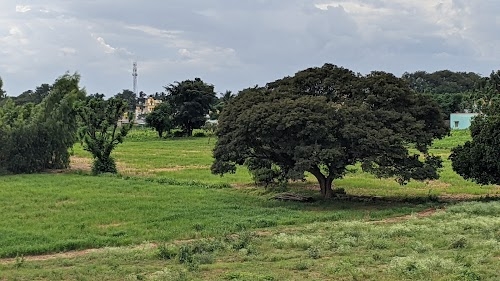 Karapanahalli
