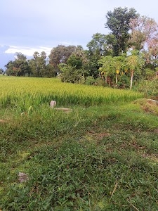 Poksi