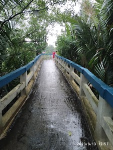 Taki Golpata Forest