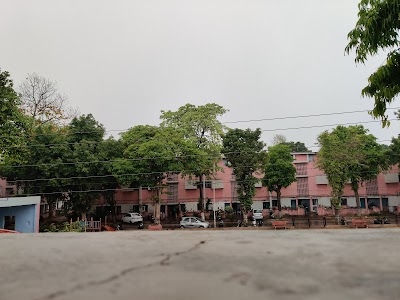 Tribune Colony