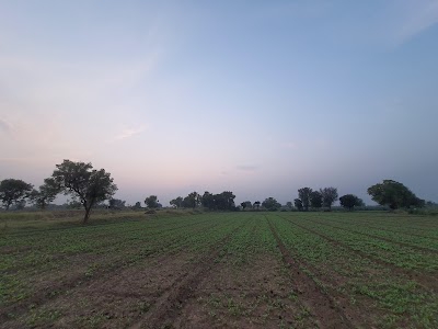 સાવદરા વાસ