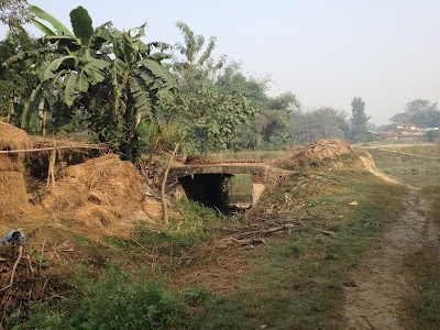 Runni Saidpur Dakshini