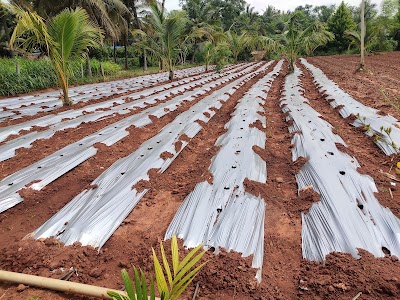 Punagumaranahalli