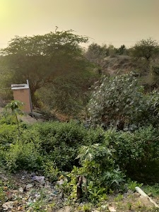 Wathoda