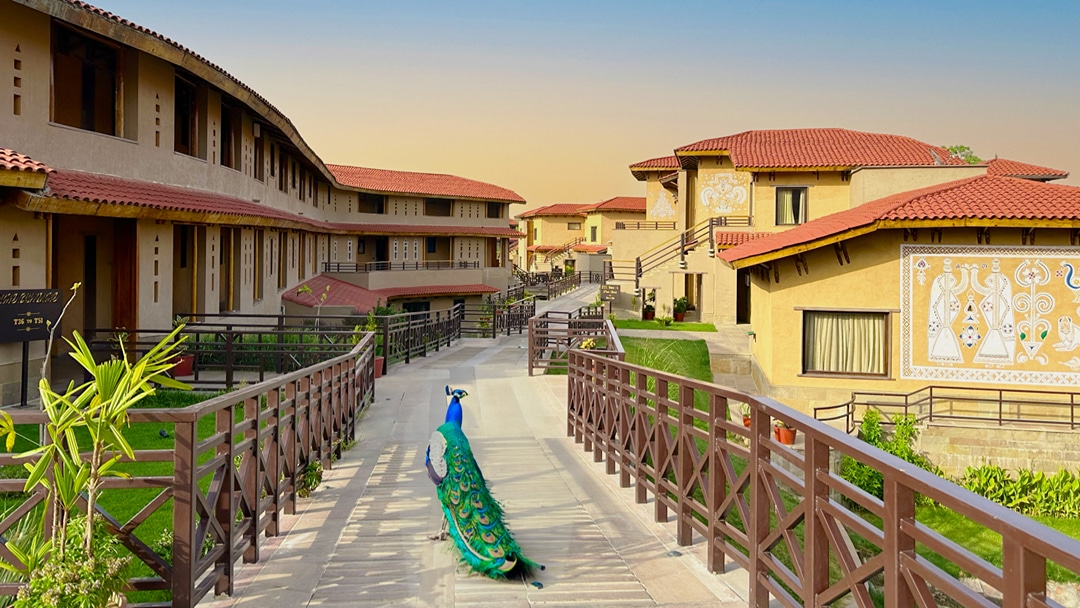 Aamaghati Wildlife Resort, Ranthambore
