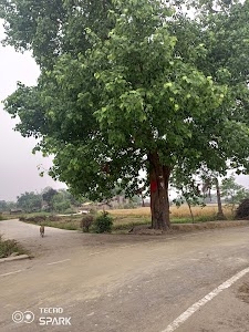 Bhoop Bhairo