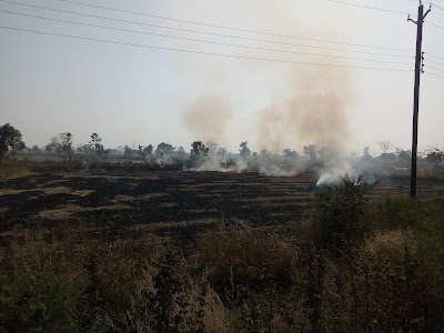 Bhojpuri