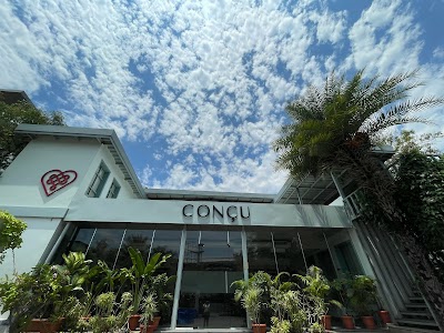 Concu Cakes