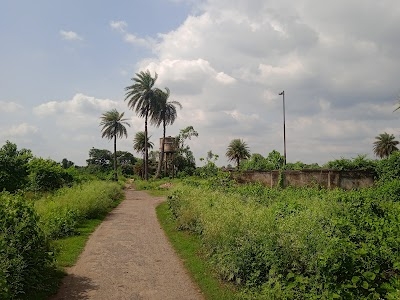 Chasnalla