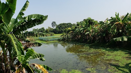Jirakpur P