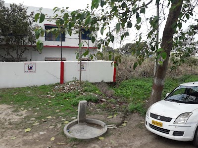 Abalone Public School